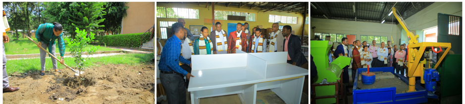 የፌደራል ሱፐርቭዥን